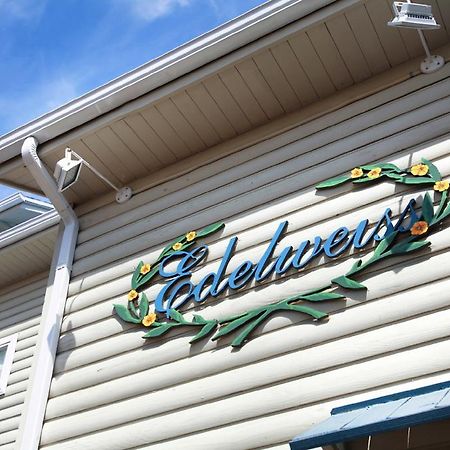 Pyeongchang Edelweiss Pension Exterior photo